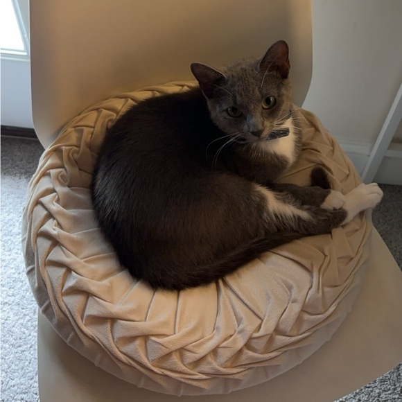 Meet your Posher, Annaliz - Picture 1 of 1